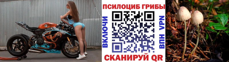 Псилоцибиновые грибы MAGIC MUSHROOMS  Купить закладки  Назарово 